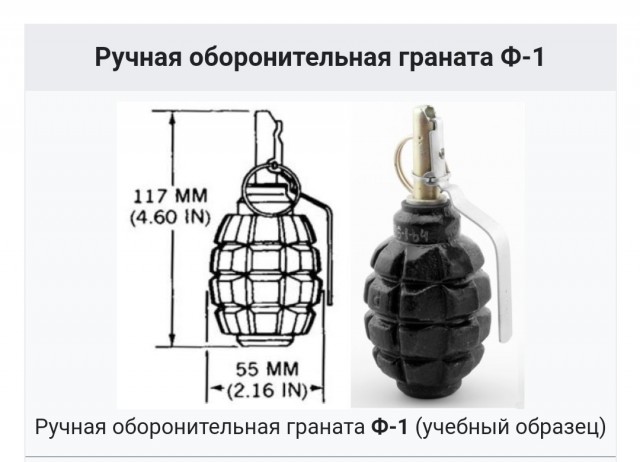 В Москве неизвестные установили растяжку с боевой гранатой прямо на двери в подъезд