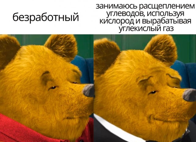 Весёлый полтишок 16.04.23