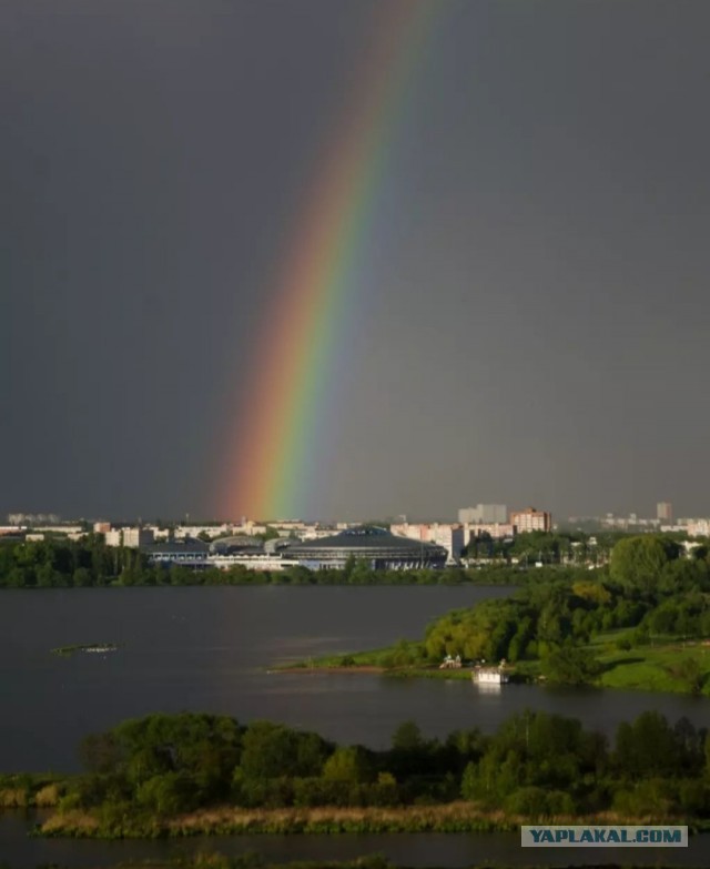 Перед грозой в поле