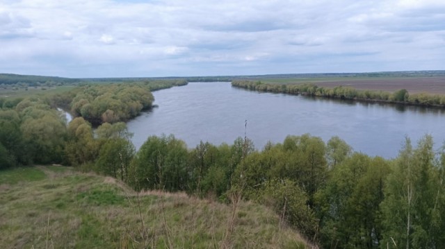 Любовные желания пьяных женщин
