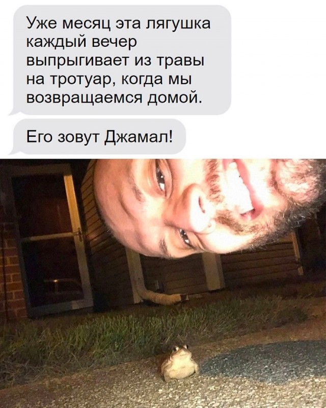 Так себе картинки 22.06.23
