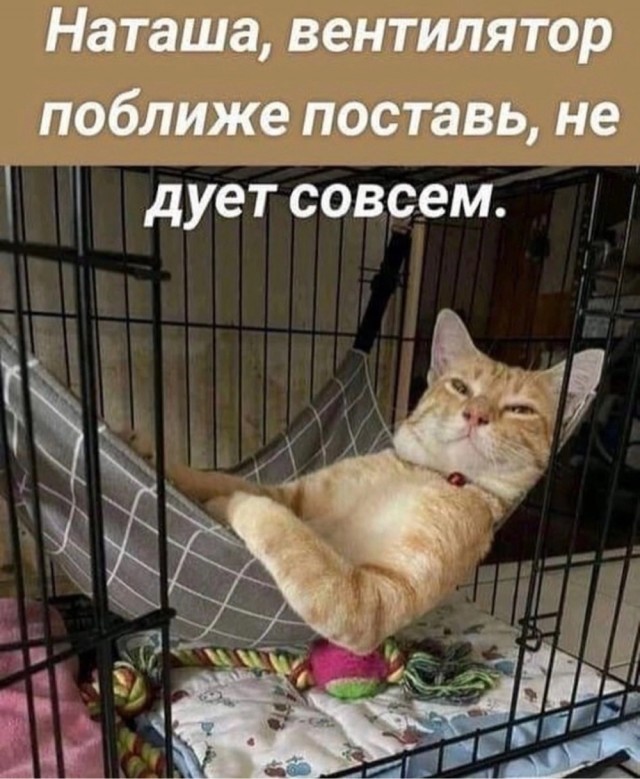 Так себе картинки 28.07.23