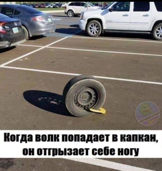 Всего понемногу. От 29.07