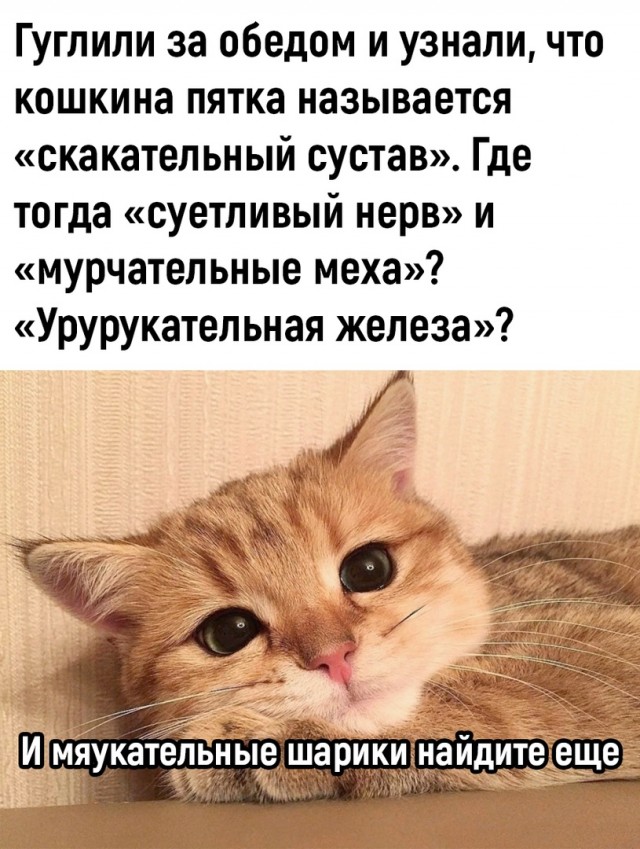 Так себе картинки 09.08.23