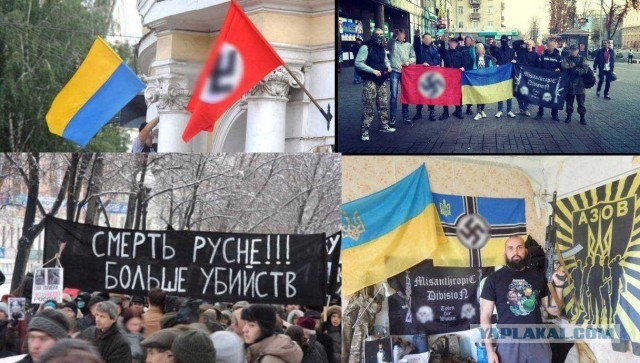 Иностранцы шутят о пропаганде