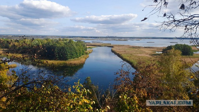 Краски осени
