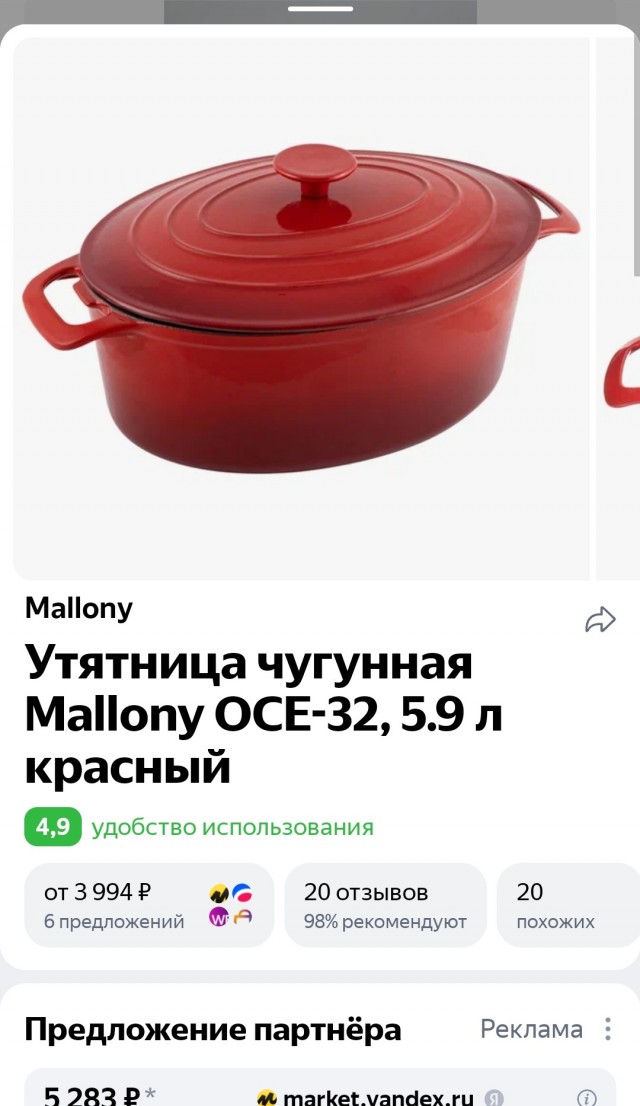 Спас тупую утку, вопросы по содержанию