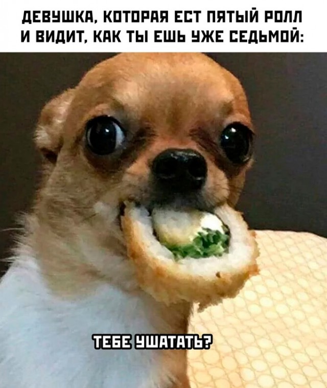 Весёлый полтишок 01.11.23