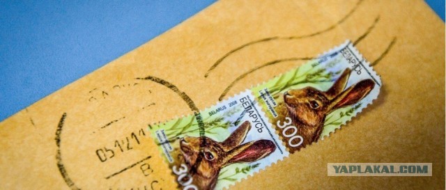 Девочка из детского дома написала письмо на несуществующий адрес — и получила ответ.