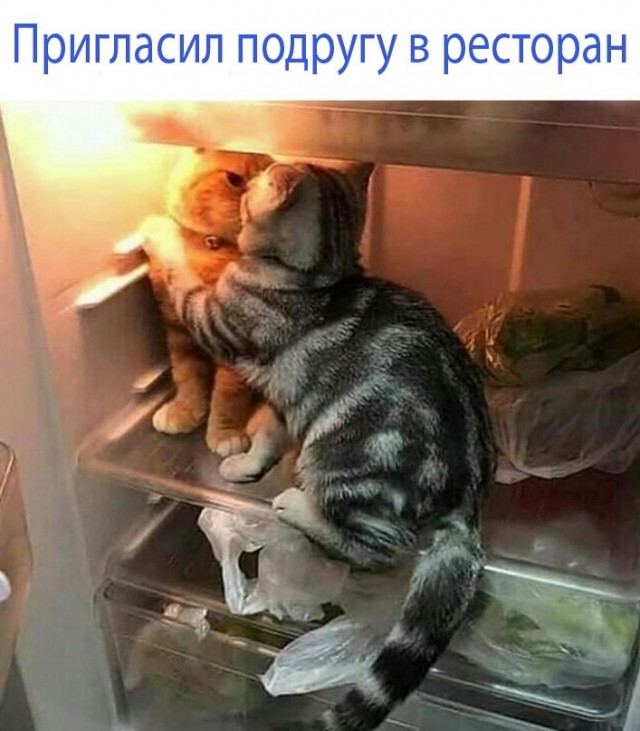 Так себе картинки 09.02.24