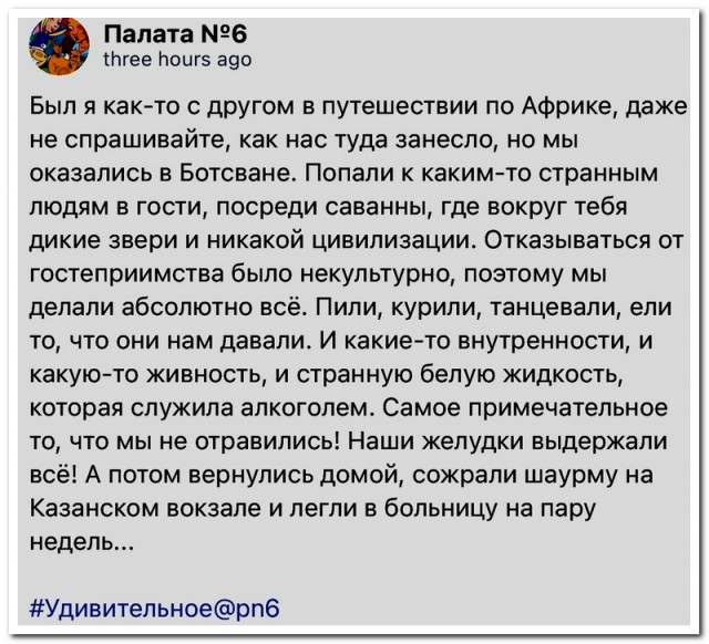 Забавные комментарии из социальных сетей (26.02.24)