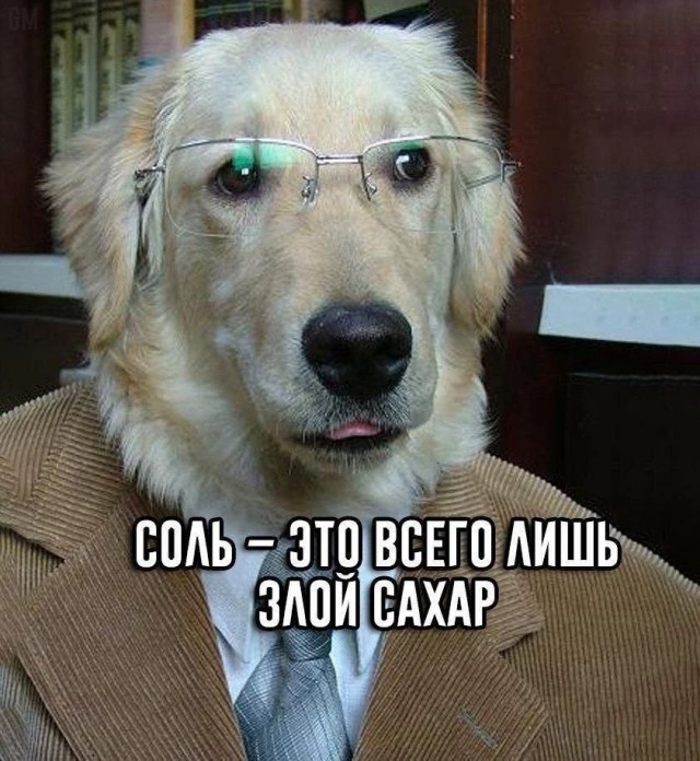 Завалялось тут случайно немного забавных картинок