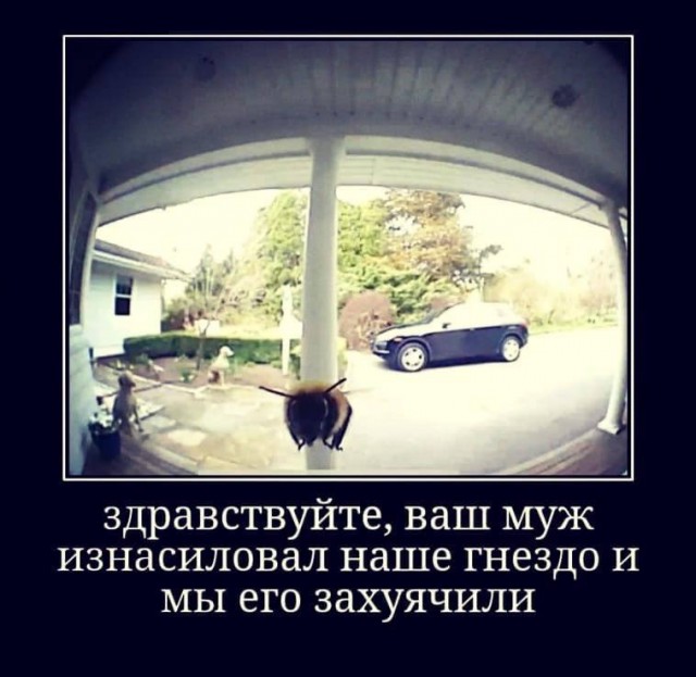 Картинки из мусорной корзины 14.07.24
