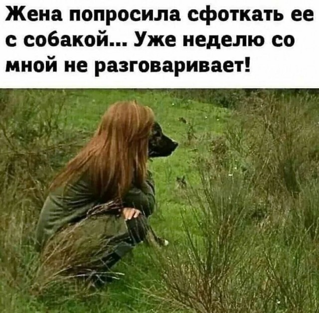 Завалялось тут случайно немного забавных картинок