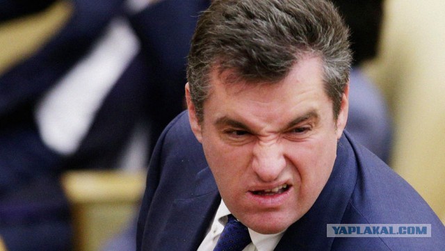 В Госдуме назвали выборы в Молдавии «позором и профанацией».