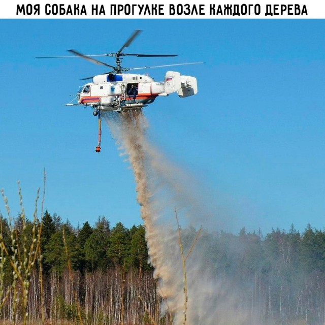 Весёлый полтишок 23.01.25