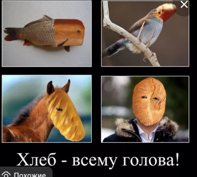 Работа тестомес