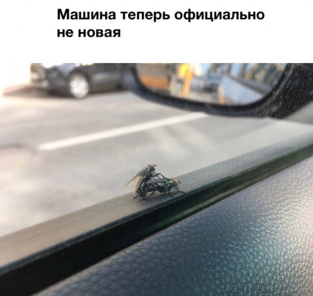 «И это машина за 2 млн рублей. Абсурд», — владелец топовой Lada Vesta Techno рассказал, что дилер АвтоВАЗа урезал возможности авто после обновления ПО: багажник перестал открываться с кнопки