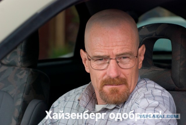 Школьники из Москвы выиграли золото на Международной олимпиаде по химии в Дубае
