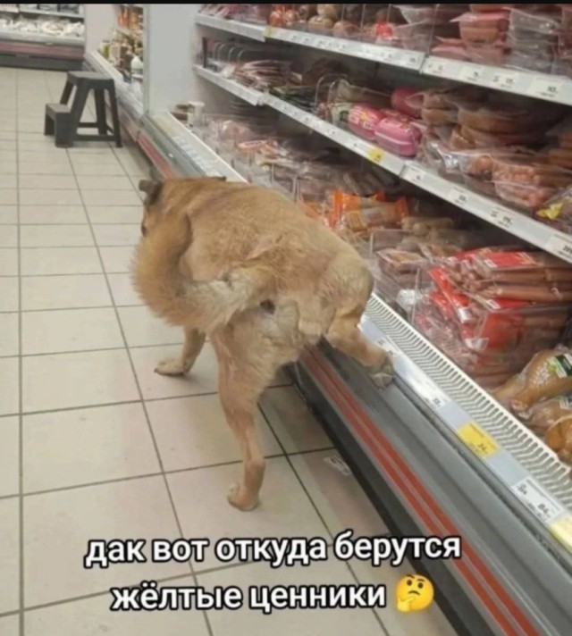 Так себе картинки 20.08.25