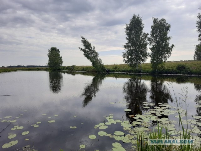 Постите летние фотки