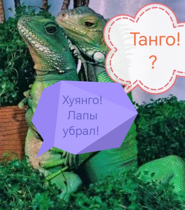 Очередная порция всякой хрени