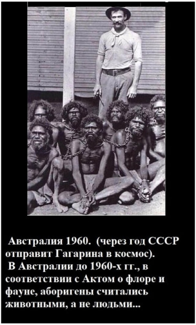 Так себе картинки 10.11.25