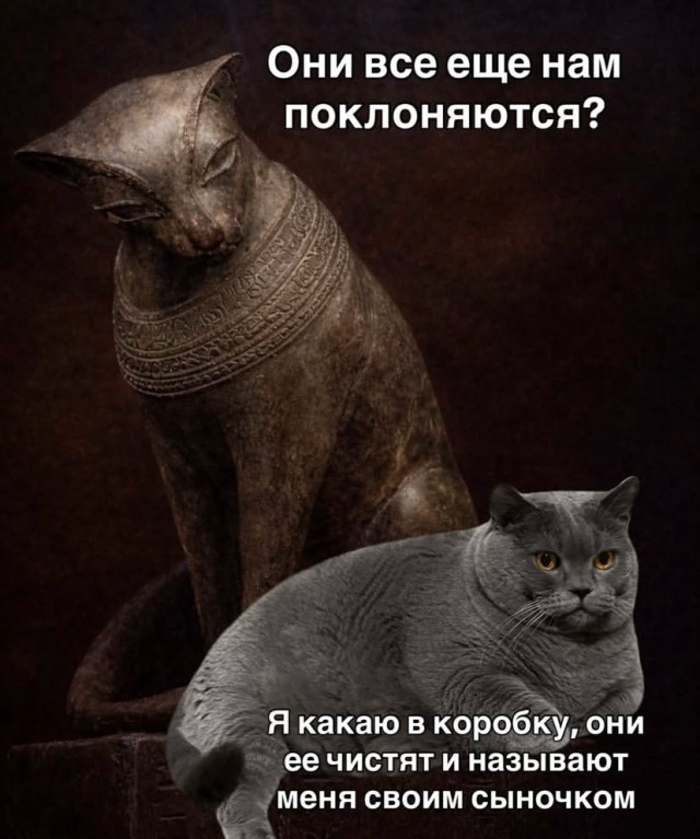 Понедельника картинки