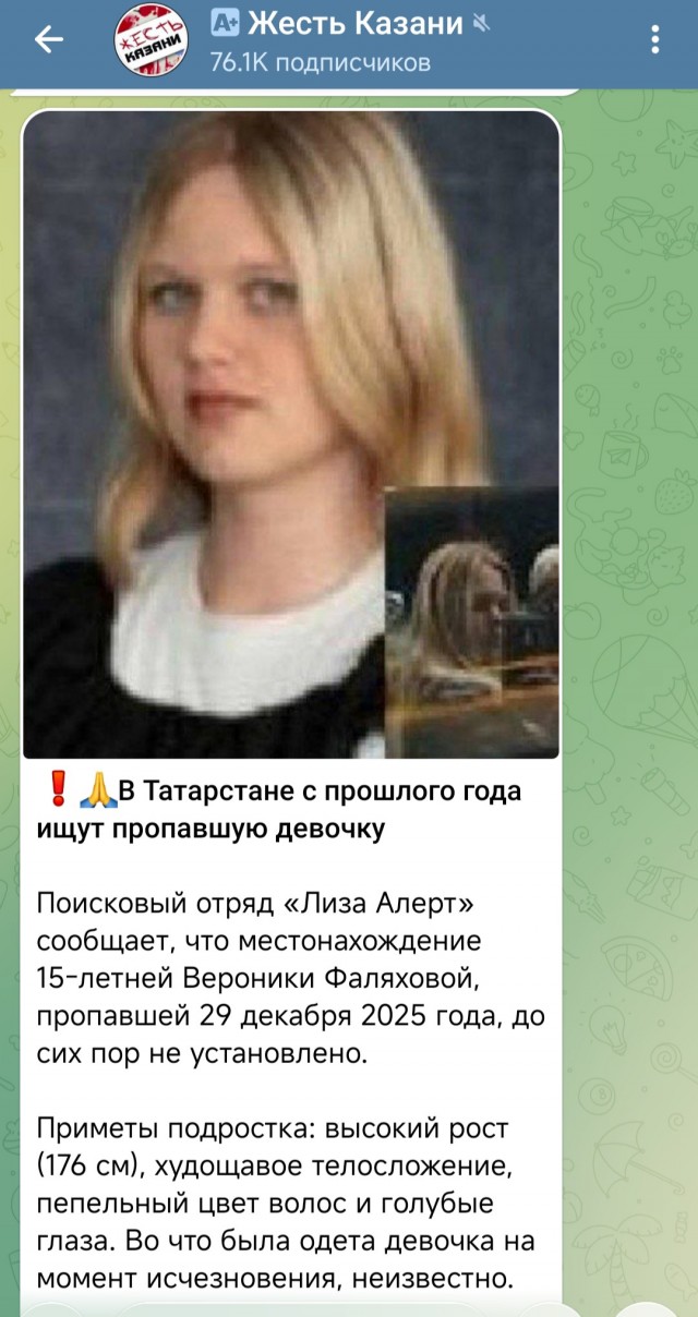 В Татарстане с прошлого года ищут пропавшую девочку