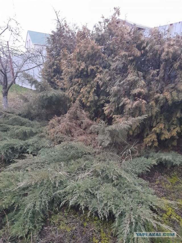 Не дать растаять Снегурчке. Нужна помощь всесильного Япа.