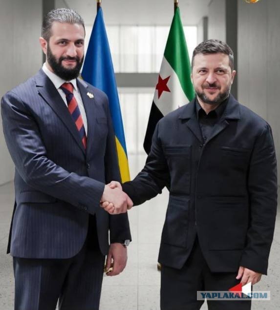 Зеленский встретился  с президентом Сирии