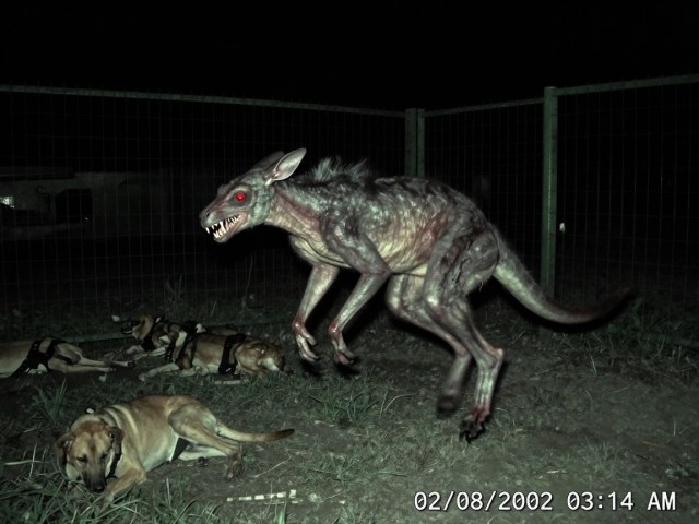 Вампирские козы Колумбии