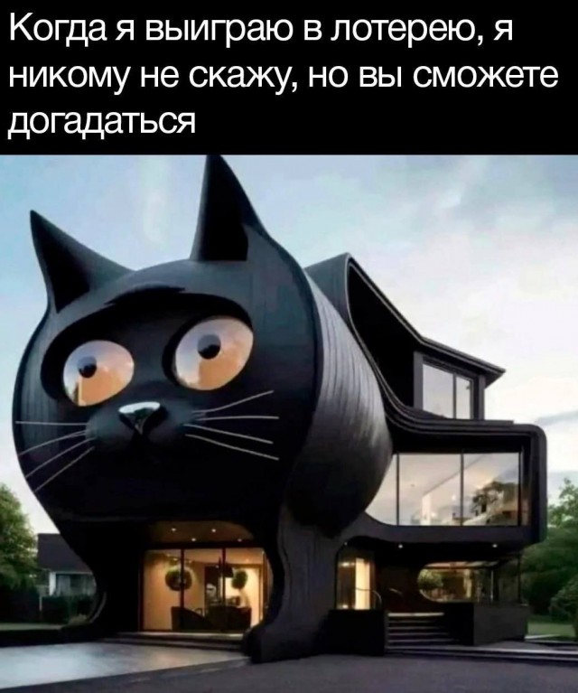 Возлюби кота ближнего своего