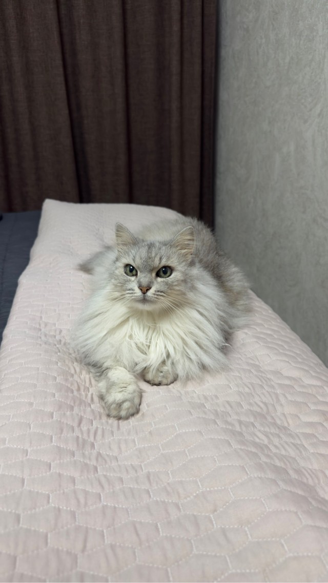 Сегодня вторник, или где?