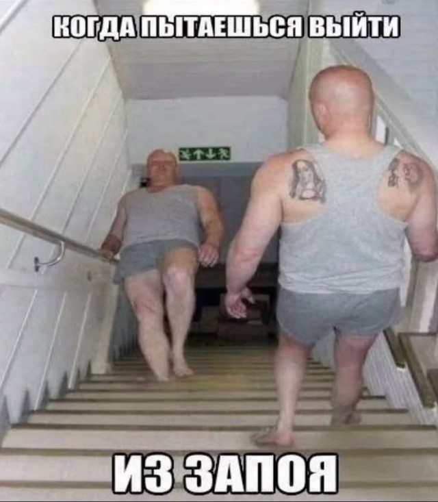 Прикольные и просто красивые картинки 14.08.2026
