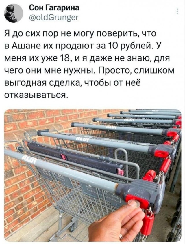 Картинки для деградации 261 (разной степени свежести)