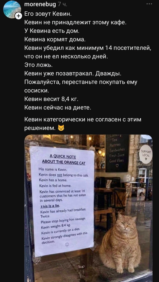 По глазам видно, голодает...