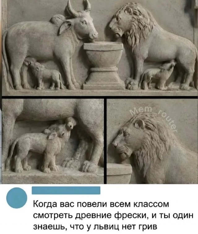 Картинки для деградации 308 (разной степени свежести)