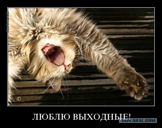 Не про олимпиаду