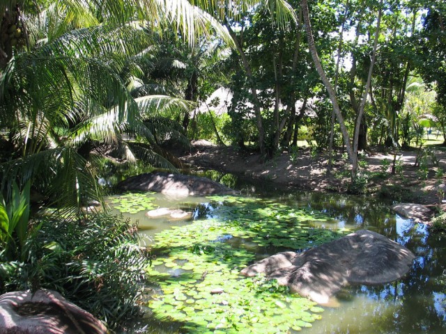 Как я съездил на Сейшелы