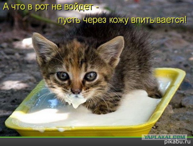 Подборка позитивных картинок на выходные