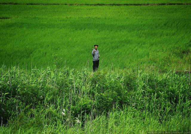 КНДР приоткрыла экспортные ворота для РФ