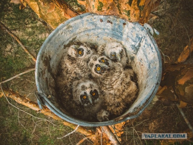 Лучшие фотографии National Geographic