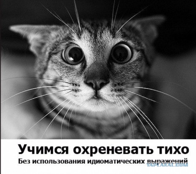 Евро поднялся выше 60 рублей