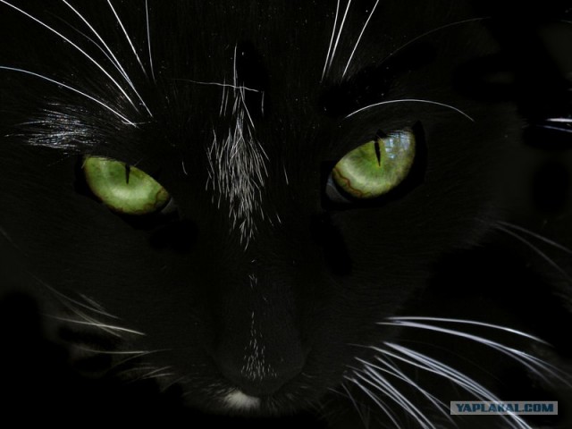 Плохая примета