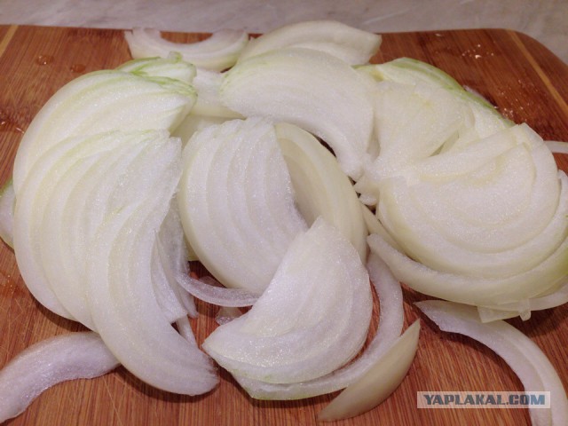 Папоротник Осмунда с мясом