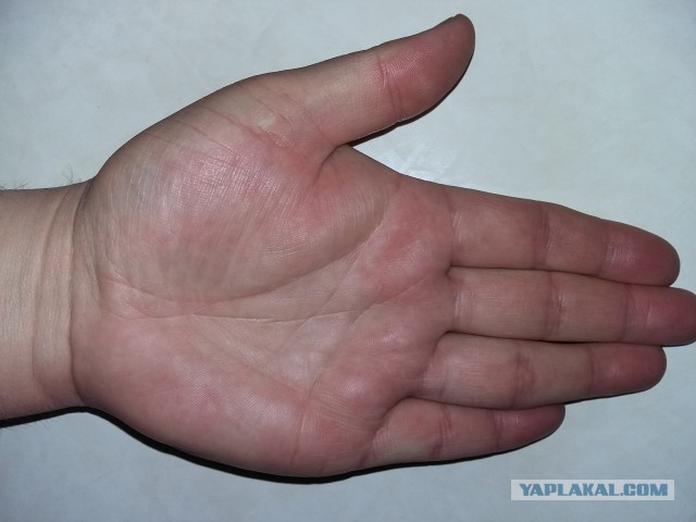 Исследую Хиромантию (Часть 2, спустя год)