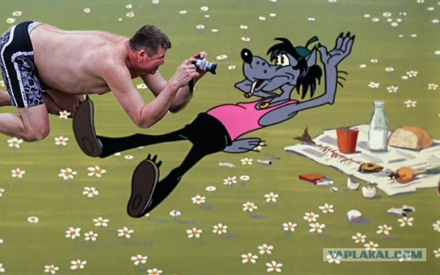 Жаба: Фотолюбитель