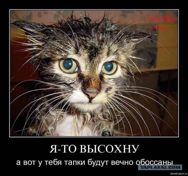 "Не убегай, нам нужно серьёзно поговорить"