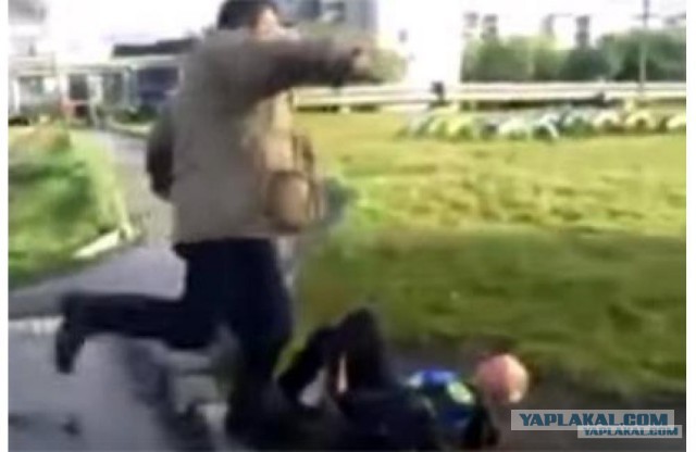 Мелкий вредитель